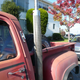 Illustration for article titled 1978 Dodge D150 Power Wagon